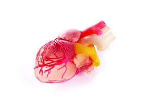 20007 Heart